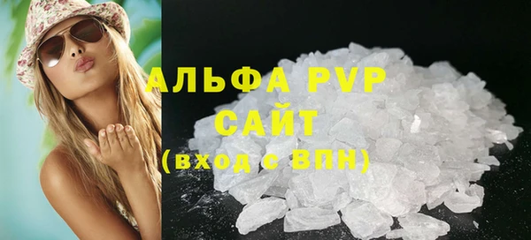 индика Ладушкин