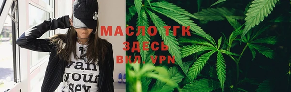 индика Ладушкин