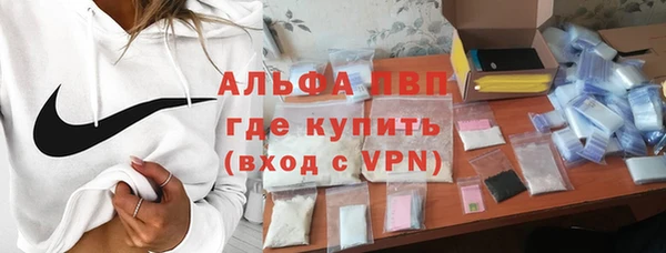 индика Ладушкин