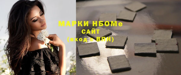 индика Ладушкин