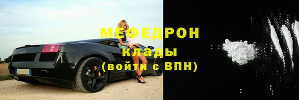 индика Ладушкин