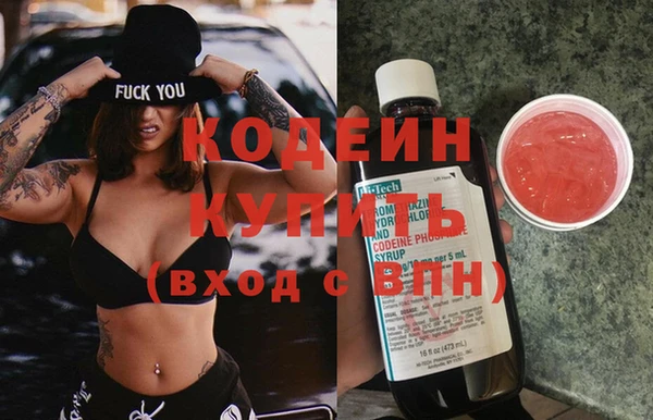 индика Ладушкин