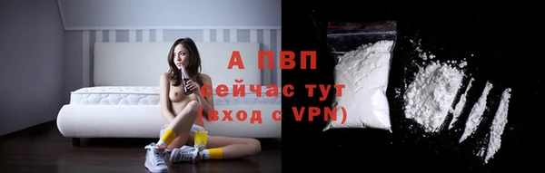 Альфа ПВП Магадан
