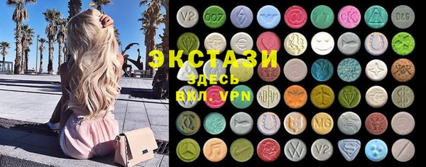 индика Ладушкин