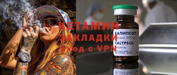индика Ладушкин