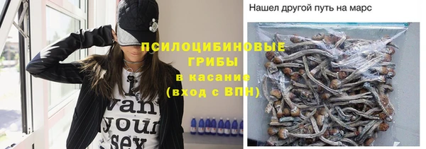 ALPHA PVP Майский