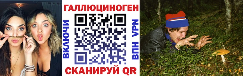 MEGA ССЫЛКА Михайловка Псилоцибиновые грибы ЛСД