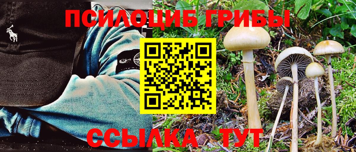 Галлюциногенные грибы MAGIC MUSHROOMS Михайловка